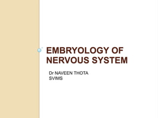 EMBRYOLOGY OF
NERVOUS SYSTEM
Dr NAVEEN THOTA
SVIMS
 