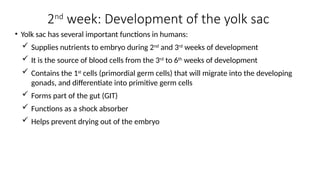 Embryology weeks 2-4 emberyoloy notes | PPTX