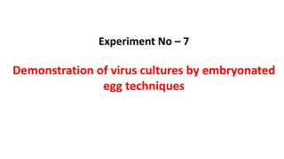 Experiment No – 7
Demonstration of virus cultures by embryonated
egg techniques
 
