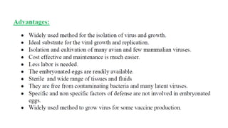 Embryonated egg notes