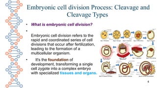 Embryonic-Cell-Division-Cleavage-and-Its-Types.pptx
