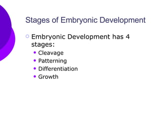 Stages of Embryonic Development Embryonic Development has 4 stages: Cleavage Patterning  Differentiation  Growth 