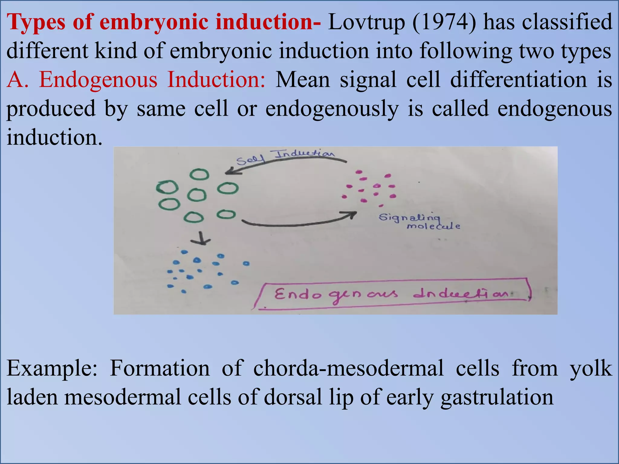 Types of embryonic induction- Lovtrup (1974) has classified
different kind of embryonic induction into following two types
A. Endogenous Induction: Mean signal cell differentiation is
produced by same cell or endogenously is called endogenous
induction.
Example: Formation of chorda-mesodermal cells from yolk
laden mesodermal cells of dorsal lip of early gastrulation
 