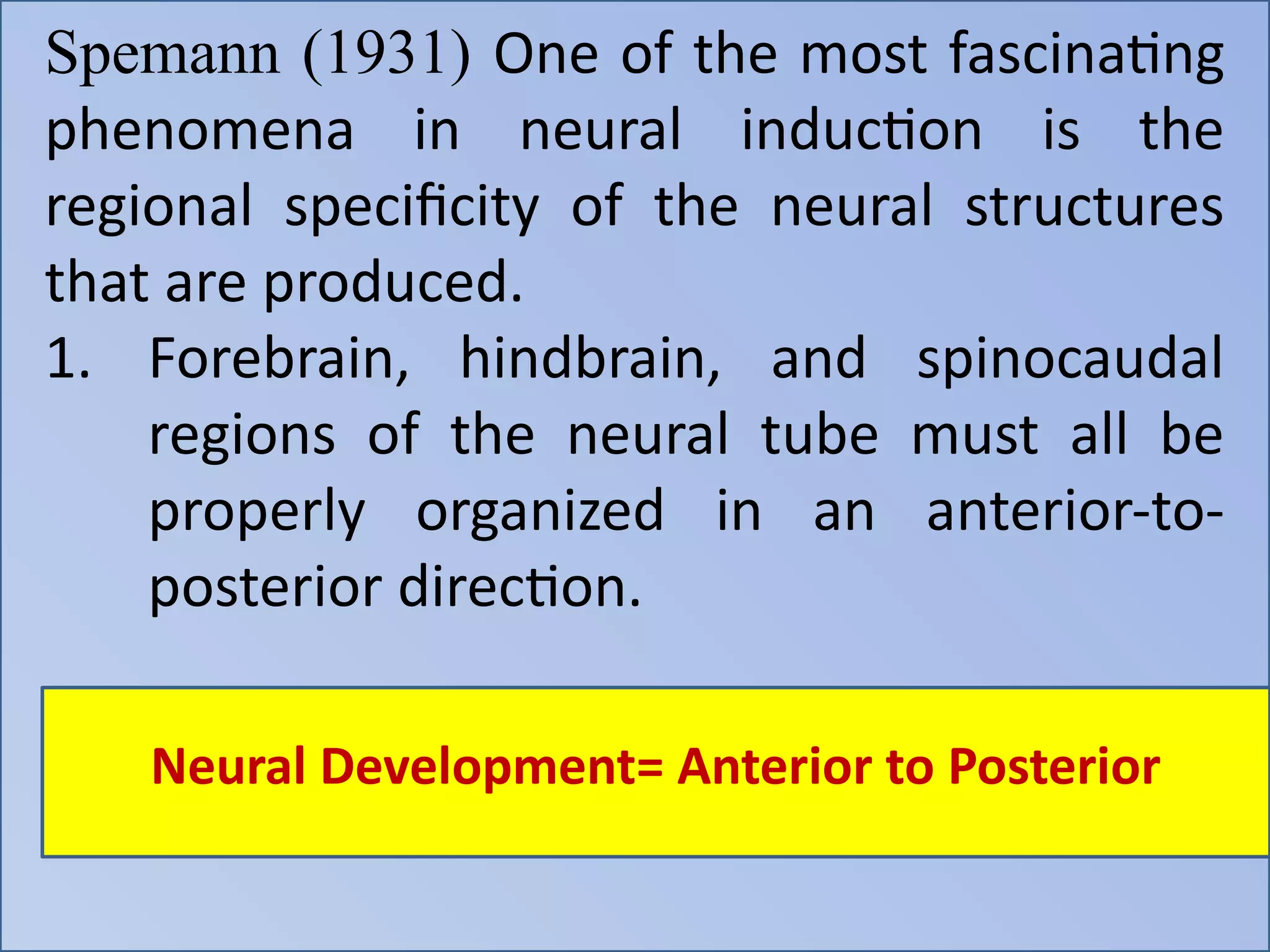 Spemann (1931) One of the most fascinating
phenomena in neural induction is the
regional specificity of the neural structures
that are produced.
1. Forebrain, hindbrain, and spinocaudal
regions of the neural tube must all be
properly organized in an anterior-to-
posterior direction.
Neural Development= Anterior to Posterior
 
