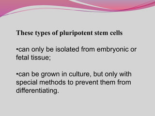 These types of pluripotent stem cells
•can only be isolated from embryonic or
fetal tissue;
•can be grown in culture, but only with
special methods to prevent them from
differentiating.
 