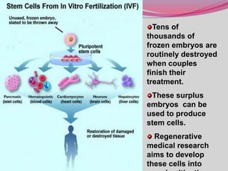 Tens of
thousands of
frozen embryos are
routinely destroyed
when couples
finish their
treatment.
These surplus
embryos can be
used to produce
stem cells.
Regenerative
medical research
aims to develop
these cells into
 