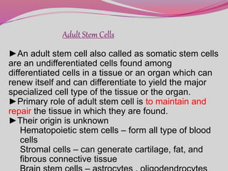 Adult Stem Cells
►An adult stem cell also called as somatic stem cells
are an undifferentiated cells found among
differentiated cells in a tissue or an organ which can
renew itself and can differentiate to yield the major
specialized cell type of the tissue or the organ.
►Primary role of adult stem cell is to maintain and
repair the tissue in which they are found.
►Their origin is unknown
Hematopoietic stem cells – form all type of blood
cells
Stromal cells – can generate cartilage, fat, and
fibrous connective tissue
 