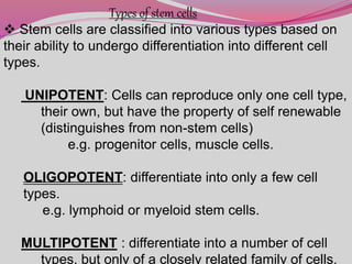 Types of stem cells
 Stem cells are classified into various types based on
their ability to undergo differentiation into different cell
types.
UNIPOTENT: Cells can reproduce only one cell type,
their own, but have the property of self renewable
(distinguishes from non-stem cells)
e.g. progenitor cells, muscle cells.
OLIGOPOTENT: differentiate into only a few cell
types.
e.g. lymphoid or myeloid stem cells.
MULTIPOTENT : differentiate into a number of cell
types, but only of a closely related family of cells.
 