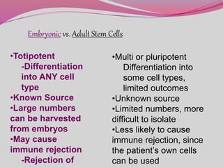 Embryonic vs. Adult Stem Cells
•Totipotent
-Differentiation
into ANY cell
type
•Known Source
•Large numbers
can be harvested
from embryos
•May cause
immune rejection
-Rejection of
•Multi or pluripotent
Differentiation into
some cell types,
limited outcomes
•Unknown source
•Limited numbers, more
difficult to isolate
•Less likely to cause
immune rejection, since
the patient’s own cells
can be used
 