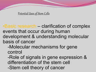 Potential Uses of Stem Cells
•Basic research – clarification of complex
events that occur during human
development & understanding molecular
basis of cancer
-Molecular mechanisms for gene
control
-Role of signals in gene expression &
differentiation of the stem cell
-Stem cell theory of cancer
 