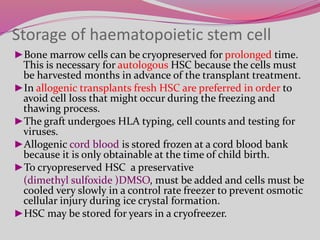 Storage of haematopoietic stem cell
►Bone marrow cells can be cryopreserved for prolonged time.
This is necessary for autologous HSC because the cells must
be harvested months in advance of the transplant treatment.
►In allogenic transplants fresh HSC are preferred in order to
avoid cell loss that might occur during the freezing and
thawing process.
►The graft undergoes HLA typing, cell counts and testing for
viruses.
►Allogenic cord blood is stored frozen at a cord blood bank
because it is only obtainable at the time of child birth.
►To cryopreserved HSC a preservative
(dimethyl sulfoxide )DMSO, must be added and cells must be
cooled very slowly in a control rate freezer to prevent osmotic
cellular injury during ice crystal formation.
►HSC may be stored for years in a cryofreezer.
 