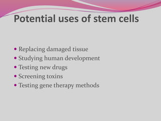 Potential uses of stem cells
 Replacing damaged tissue
 Studying human development
 Testing new drugs
 Screening toxins
 Testing gene therapy methods
 