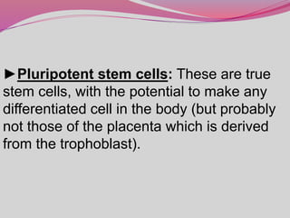 ►Pluripotent stem cells: These are true
stem cells, with the potential to make any
differentiated cell in the body (but probably
not those of the placenta which is derived
from the trophoblast).
 