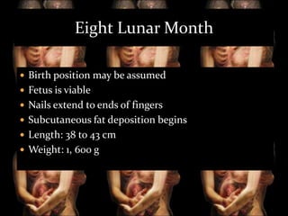 Eight Lunar Month
 Birth position may be assumed
 Fetus is viable
 Nails extend to ends of fingers
 Subcutaneous fat deposition begins
 Length: 38 to 43 cm
 Weight: 1, 600 g

 
