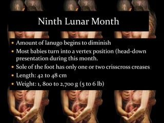 Ninth Lunar Month
 Amount of lanugo begins to diminish
 Most babies turn into a vertex position (head-down

presentation during this month.
 Sole of the foot has only one or two crisscross creases
 Length: 42 to 48 cm
 Weight: 1, 800 to 2,700 g (5 to 6 lb)

 