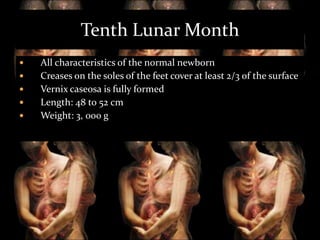 Tenth Lunar Month






All characteristics of the normal newborn
Creases on the soles of the feet cover at least 2/3 of the surface
Vernix caseosa is fully formed
Length: 48 to 52 cm
Weight: 3, 000 g

 