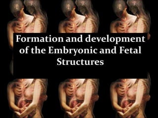 Formation and development
of the Embryonic and Fetal
Structures

 