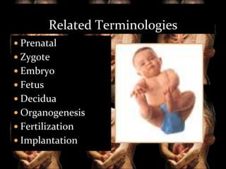Related Terminologies
 Prenatal
 Zygote
 Embryo
 Fetus

 Decidua
 Organogenesis
 Fertilization

 Implantation

 