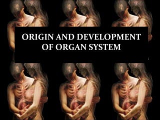 ORIGIN AND DEVELOPMENT
OF ORGAN SYSTEM

 