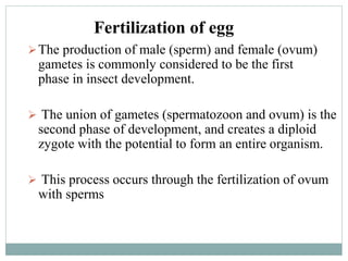 Fertilization of egg
The production of male (sperm) and female (ovum)
gametes is commonly considered to be the first
phase in insect development.
 The union of gametes (spermatozoon and ovum) is the
second phase of development, and creates a diploid
zygote with the potential to form an entire organism.
 This process occurs through the fertilization of ovum
with sperms
 