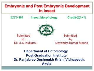 Embryonic and Post Embryonic Development
in Insect
ENT-501 Insect Morphology Credit-2(1+1)
Submitted Submitted
to by
Dr. U.S. Kulkarni Devendra Kumar Meena
Department of Entomology
Post Graduation Institute
Dr. Panjabrao Deshmukh Krishi Vidhapeeth,
Akola
 