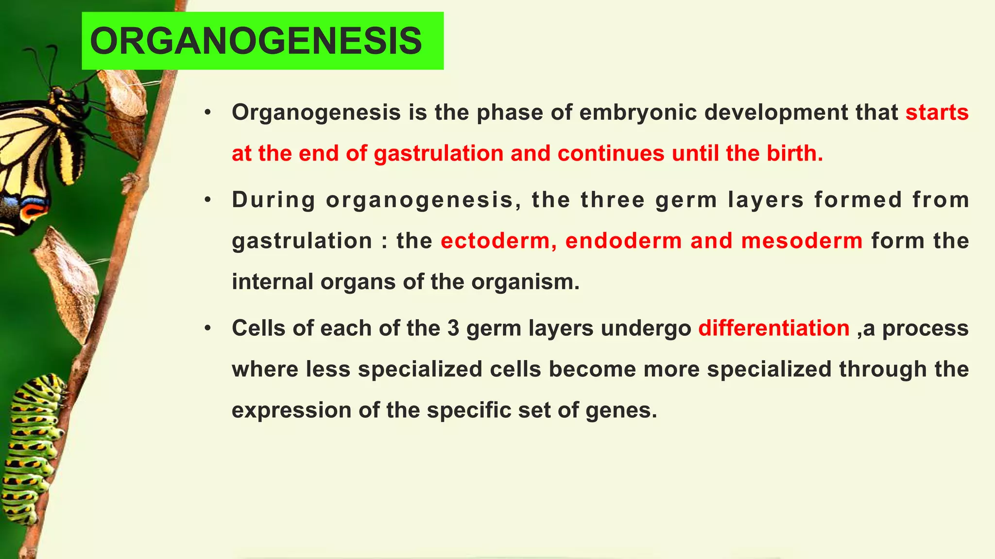 Embryonic and post embryonic development in insects | PDF