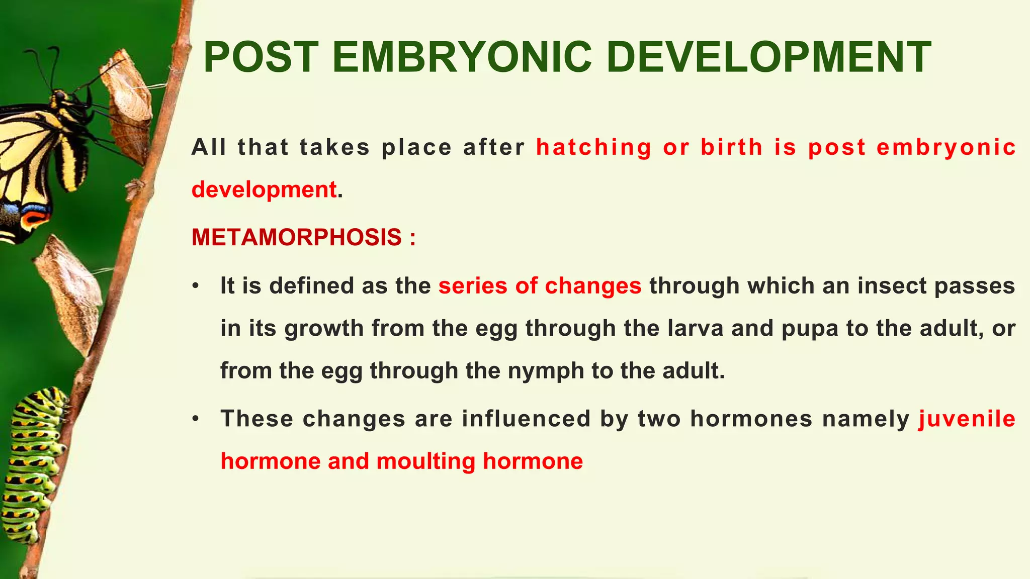 Embryonic and post embryonic development in insects | PDF