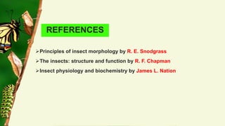 Embryonic and post embryonic development in insects | PDF
