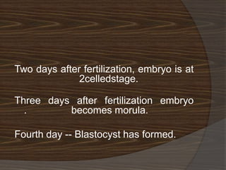 Two days after fertilization, embryo is at
              2celledstage.

Three days after fertilization embryo
  .       becomes morula.

Fourth day -- Blastocyst has formed.
 