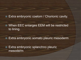   Extra embryonic coelom / Chorionic cavity.

   When EEC enlarges EEM will be restricted
    to lining.

   Extra embryonic somato pleuric mesoderm

   Extra embryonic splanchno pleuric
    mesoderm
 