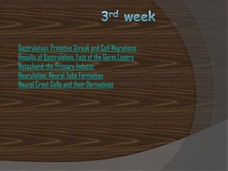 Gastrulation: Primitive Streak and Cell Migrations
Results of Gastrulation: Fate of the Germ Layers
Notochord: the Primary Inducer
Neurulation: Neural Tube Formation
Neural Crest Cells and their Derivatives
 