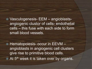    Vasculogenesis- EEM – angioblasts-
    angiogenic clustor of cells- endothelial
    cells – this fuse with each side to form
    small blood vessels.

 Hematopoiesis- occur in EEVM –
  angioblasts in angiogenic cell clusters
  give rise to primitive blood cells.
 At 5th week it is taken over by organs.
 