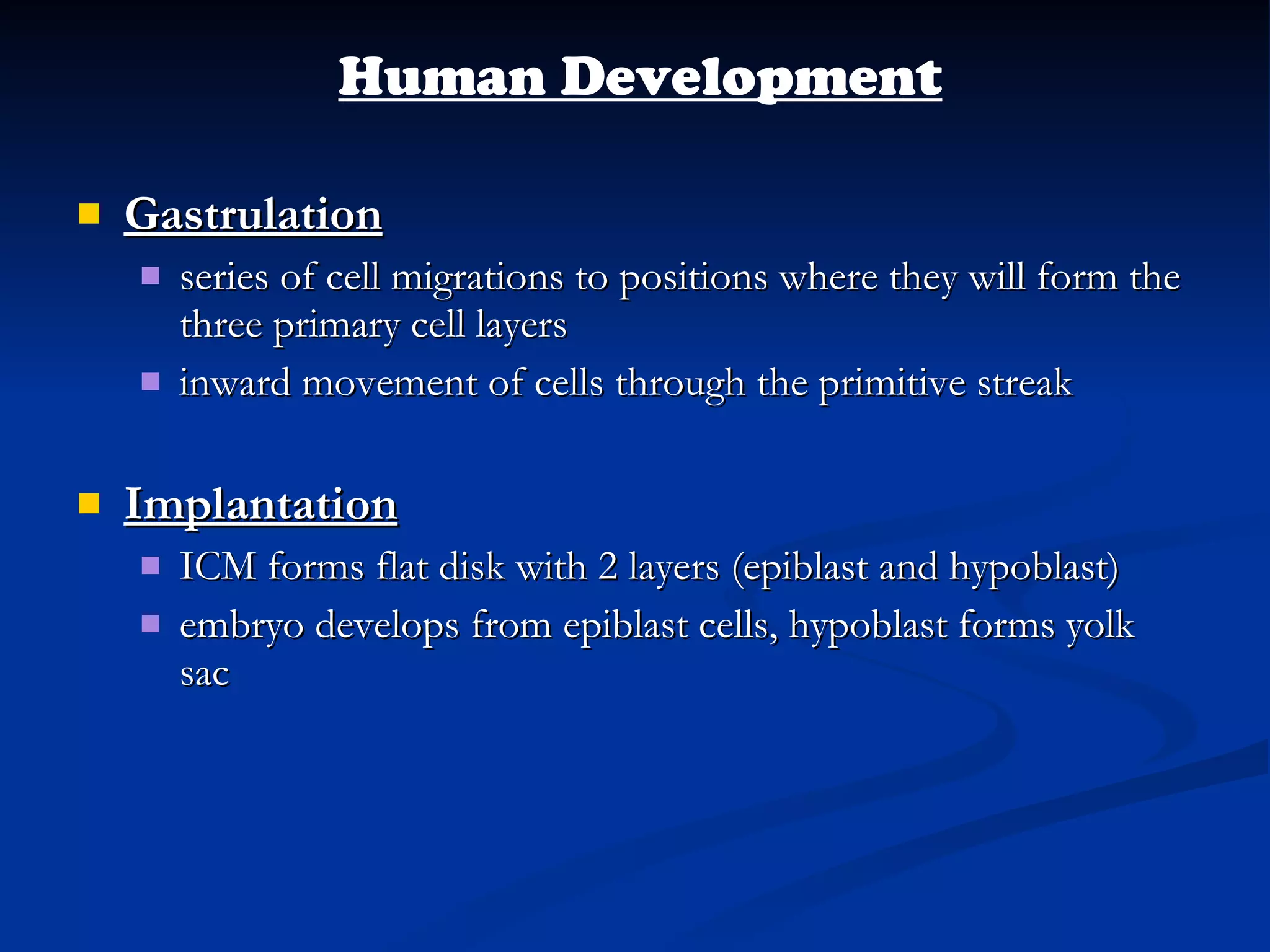 Gastrulation series of cell migrations to positions where they will form the three primary cell layers inward movement of cells through the primitive streak Implantation ICM forms flat disk with 2 layers (epiblast and hypoblast) embryo develops from epiblast cells, hypoblast forms yolk sac Human Development 