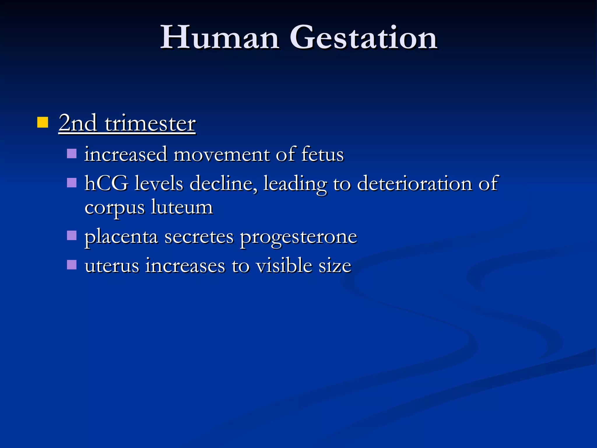 Human Gestation 2nd trimester increased movement of fetus hCG levels decline, leading to deterioration of corpus luteum placenta secretes progesterone uterus increases to visible size 