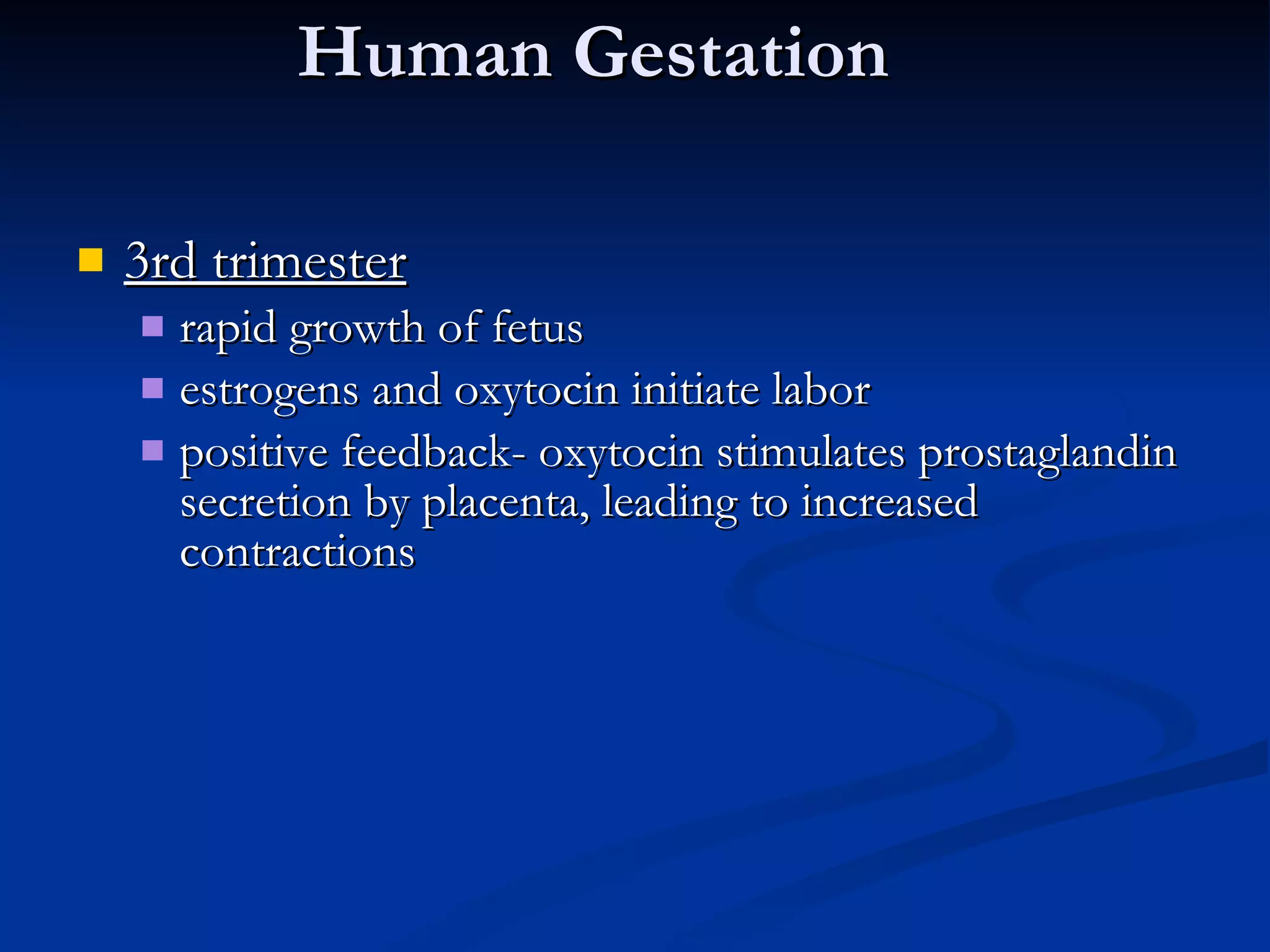 Human Gestation 3rd trimester rapid growth of fetus estrogens and oxytocin initiate labor positive feedback- oxytocin stimulates prostaglandin secretion by placenta, leading to increased contractions 