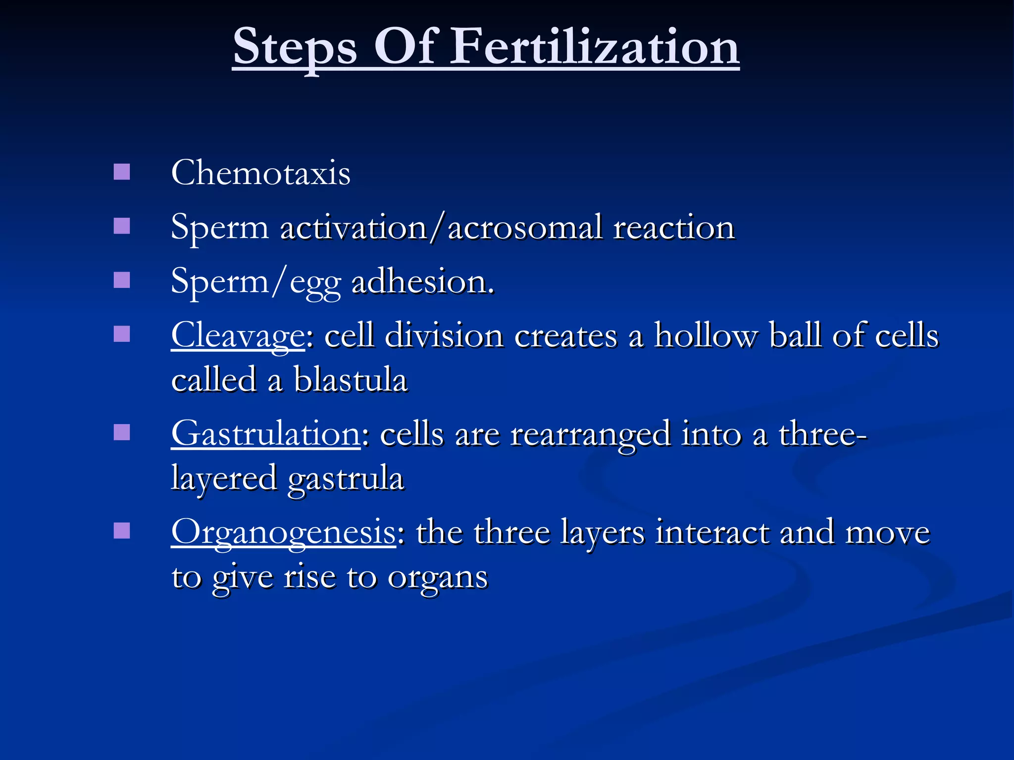 Steps Of Fertilization Chemotaxis Sperm  activation/acrosomal reaction Sperm/egg  adhesion. Cleavage : cell division creates a hollow ball of cells called a blastula Gastrulation : cells are rearranged into a three-layered gastrula Organogenesis : the three layers interact and move to give rise to organs 