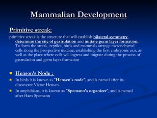 Mammalian Development Primitive streak :   primitive streak is the structure that will establish  bilateral symmetry ,  determine the site of gastrulation  and  initiate germ layer formation . To form the streak, reptiles, birds and mammals arrange mesenchymal cells along the prospective midline, establishing the first embryonic axis, as well as the place where cells will ingress and migrate during the process of gastrulation and germ layer formation    Henson’s Node :  In birds it is known as " Hensen's node ", and is named after its discoverer Victor Hensen. In amphibians, it is known as " Spemann's organizer ", and is named after Hans Spemann 