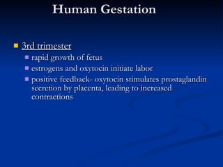 Human Gestation 3rd trimester rapid growth of fetus estrogens and oxytocin initiate labor positive feedback- oxytocin stimulates prostaglandin secretion by placenta, leading to increased contractions 