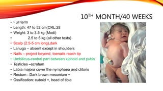 10TH MONTH/40 WEEKS
• Full term
• Length: 47 to 52 cm(CRL:28
• Weight: 3 to 3.5 kg (Modi)
• 2.5 to 5 kg (all other texts)
• Scalp (2.5-5 cm long),dark
• Lanugo – absent except in shoulders
• Nails – project beyond, toenails reach tip
• Umbilicus-central part between xiphoid and pubis
• Testicles –scrotum
• Labia majora cover the nymphaea and clitoris
• Rectum : Dark brown meconium +
• Ossification: cuboid +, head of tibia
 