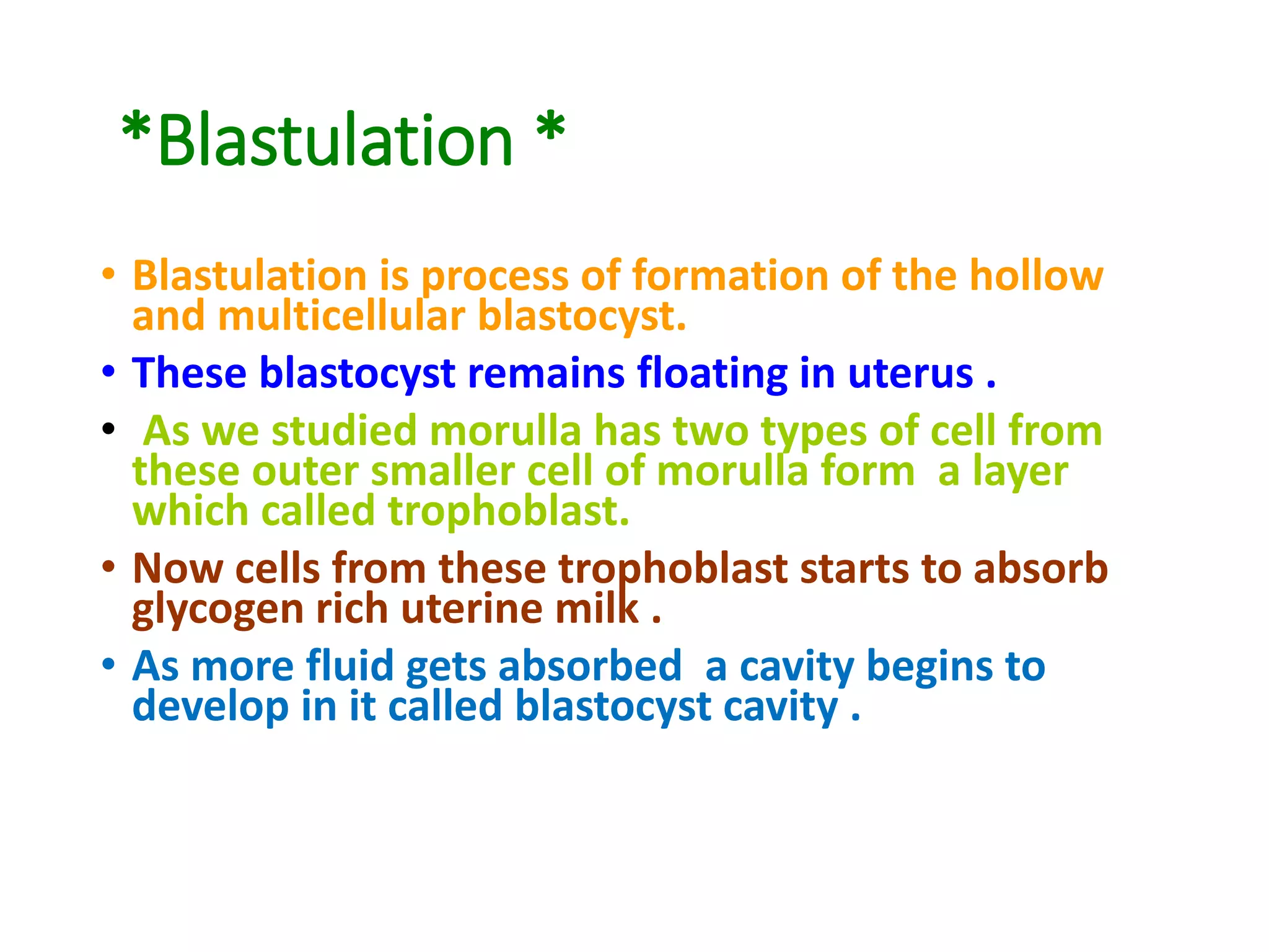 *Blastulation *
• Blastulation is process of formation of the hollow
and multicellular blastocyst.
• These blastocyst remains floating in uterus .
• As we studied morulla has two types of cell from
these outer smaller cell of morulla form a layer
which called trophoblast.
• Now cells from these trophoblast starts to absorb
glycogen rich uterine milk .
• As more fluid gets absorbed a cavity begins to
develop in it called blastocyst cavity .
 