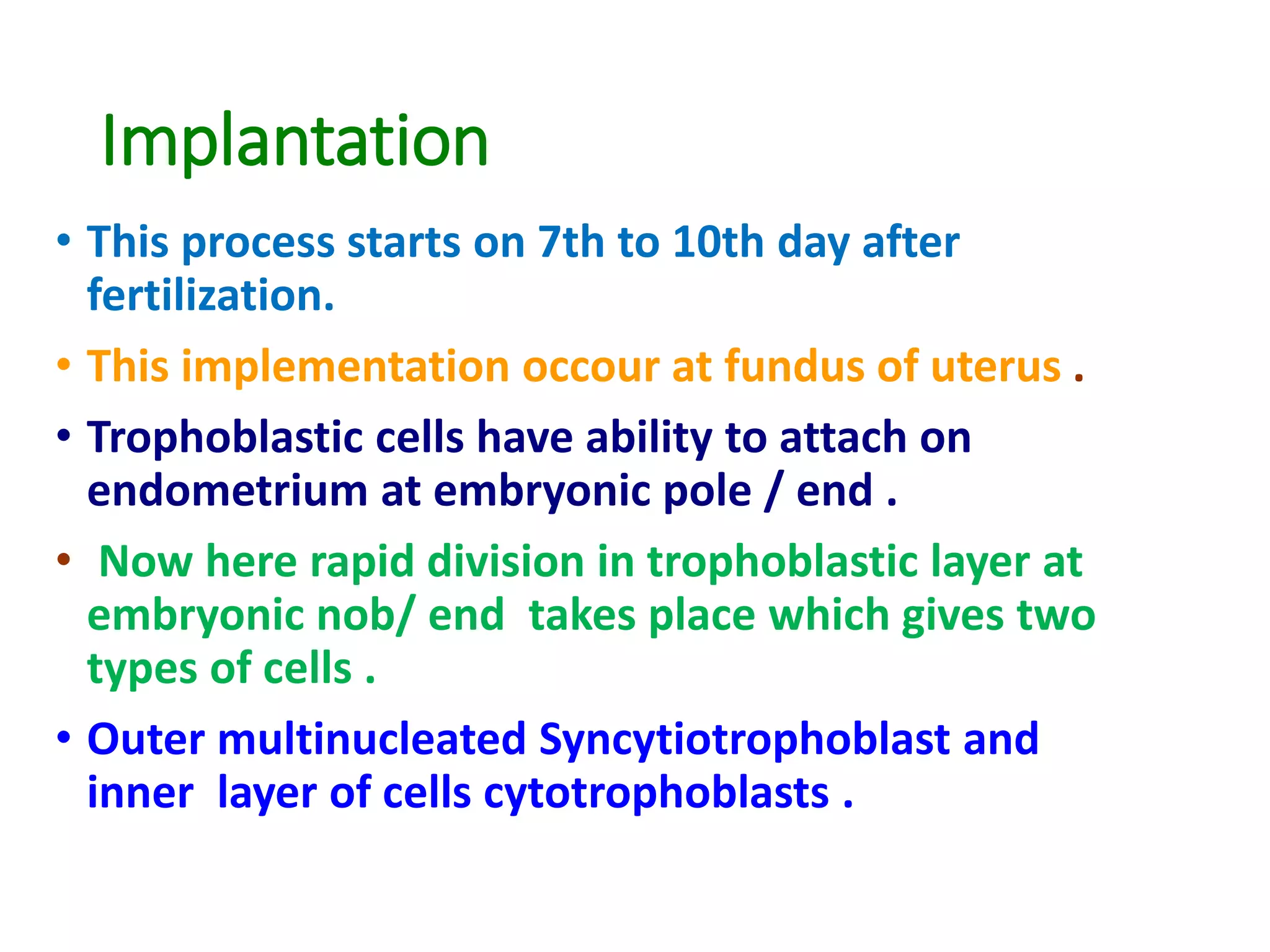Implantation
• This process starts on 7th to 10th day after
fertilization.
• This implementation occour at fundus of uterus .
• Trophoblastic cells have ability to attach on
endometrium at embryonic pole / end .
• Now here rapid division in trophoblastic layer at
embryonic nob/ end takes place which gives two
types of cells .
• Outer multinucleated Syncytiotrophoblast and
inner layer of cells cytotrophoblasts .
 