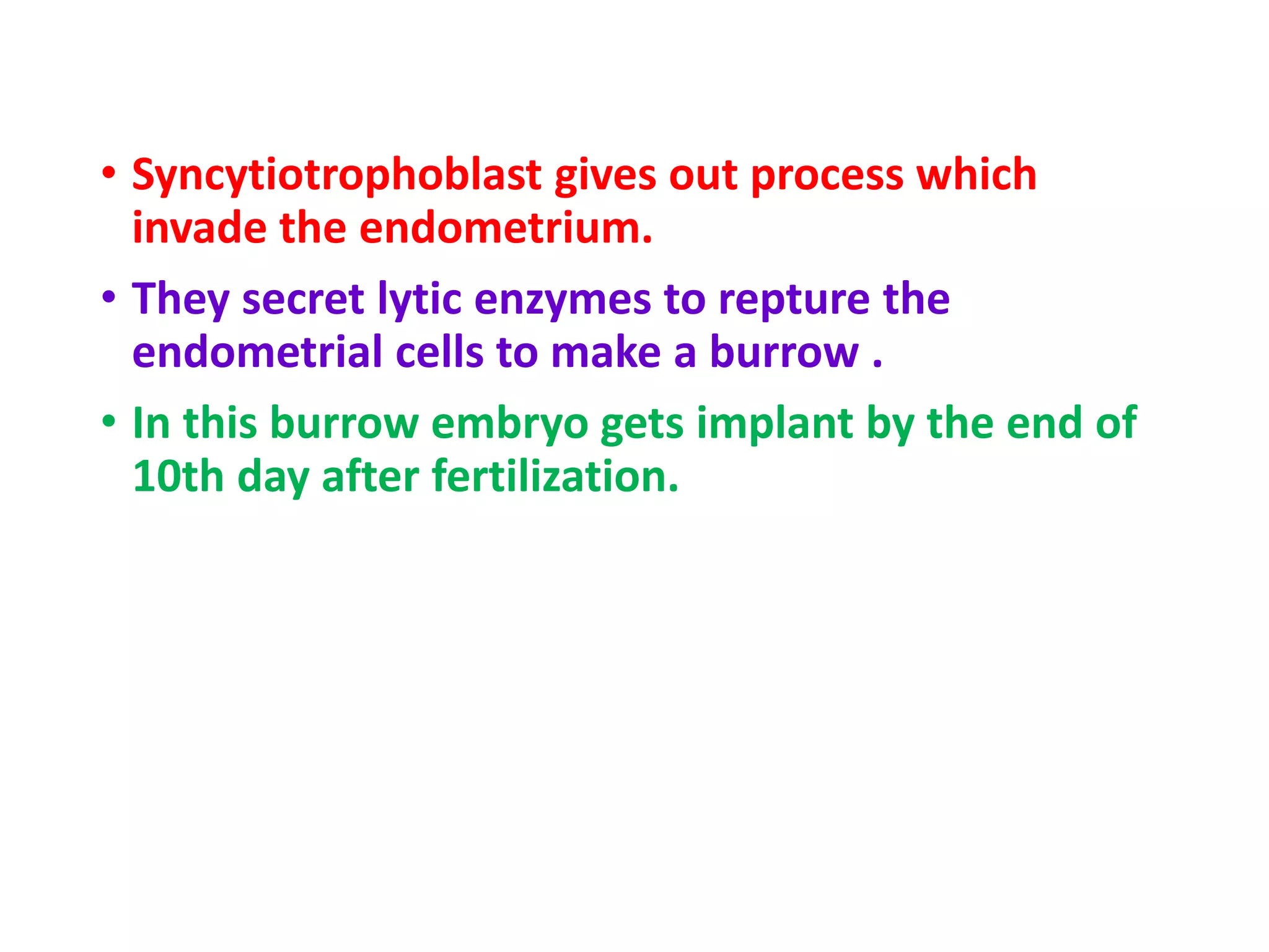 • Syncytiotrophoblast gives out process which
invade the endometrium.
• They secret lytic enzymes to repture the
endometrial cells to make a burrow .
• In this burrow embryo gets implant by the end of
10th day after fertilization.
 