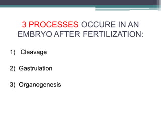 3 PROCESSES OCCURE IN AN
EMBRYO AFTER FERTILIZATION:
1) Cleavage
2) Gastrulation
3) Organogenesis
 