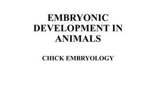 EMBRYONIC
DEVELOPMENT IN
ANIMALS
CHICK EMBRYOLOGY
 