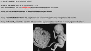 4th and 5th months - fetus lengthens rapidly,
By end of first half of IUL- CRL is approximately 15 cm,
Fetus is covered with fine hair- lanugo hair; eyebrows and head hair are also visible.
During the fifth month movements of the fetus can be felt by the mother.
During second half of intrauterine life, weight increases considerably, particularly during the last 2.5 months
During sixth month, skin of fetus is reddish & has a wrinkled appearance because of lack of underlying connective tissue.
 