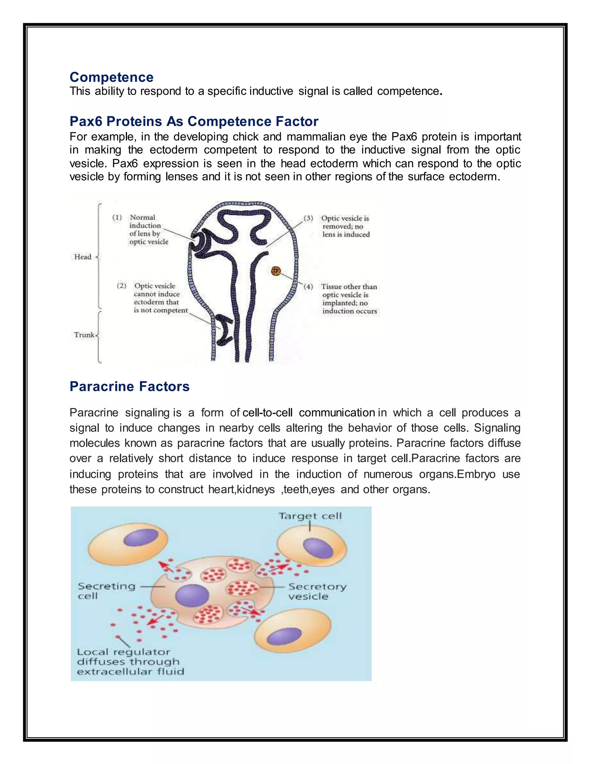 Competence
This ability to respond to a specific inductive signal is called competence.
Pax6 Proteins As Competence Factor
For example, in the developing chick and mammalian eye the Pax6 protein is important
in making the ectoderm competent to respond to the inductive signal from the optic
vesicle. Pax6 expression is seen in the head ectoderm which can respond to the optic
vesicle by forming lenses and it is not seen in other regions of the surface ectoderm.
Paracrine Factors
Paracrine signaling is a form of cell-to-cell communication in which a cell produces a
signal to induce changes in nearby cells altering the behavior of those cells. Signaling
molecules known as paracrine factors that are usually proteins. Paracrine factors diffuse
over a relatively short distance to induce response in target cell.Paracrine factors are
inducing proteins that are involved in the induction of numerous organs.Embryo use
these proteins to construct heart,kidneys ,teeth,eyes and other organs.
 
