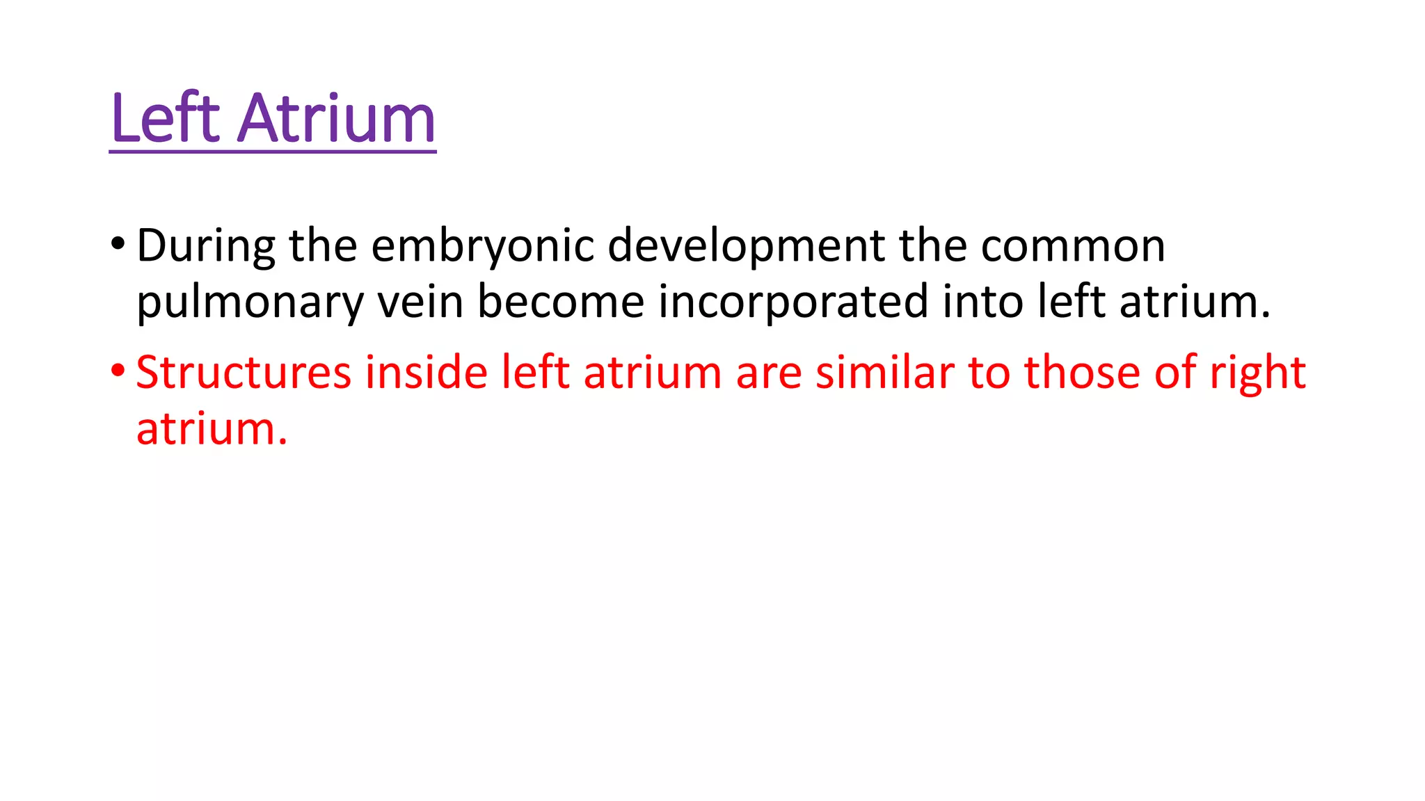 Left Atrium
• During the embryonic development the common
pulmonary vein become incorporated into left atrium.
• Structures inside left atrium are similar to those of right
atrium.
 