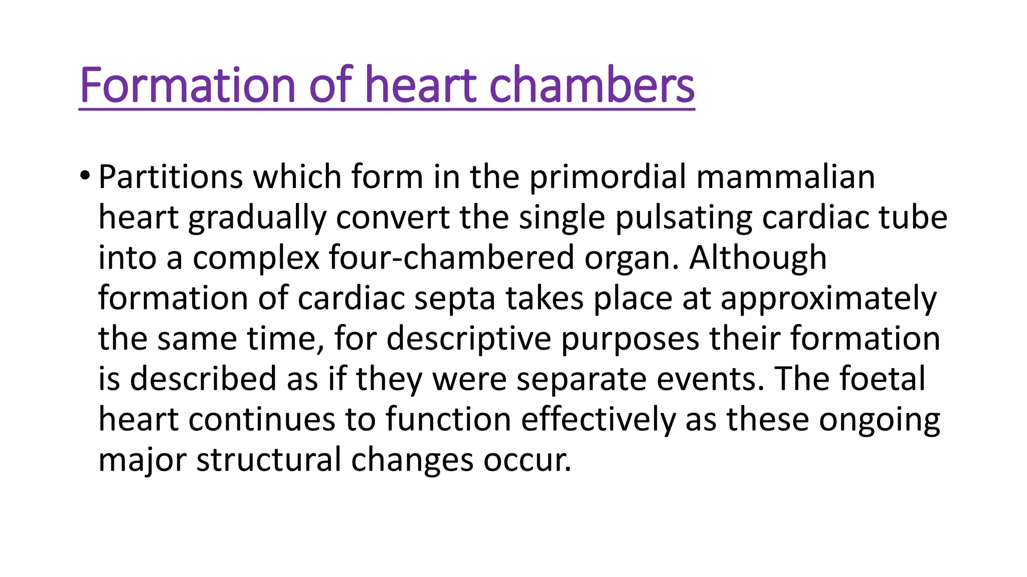 Formation of heart chambers
• Partitions which form in the primordial mammalian
heart gradually convert the single pulsating cardiac tube
into a complex four-chambered organ. Although
formation of cardiac septa takes place at approximately
the same time, for descriptive purposes their formation
is described as if they were separate events. The foetal
heart continues to function effectively as these ongoing
major structural changes occur.
 