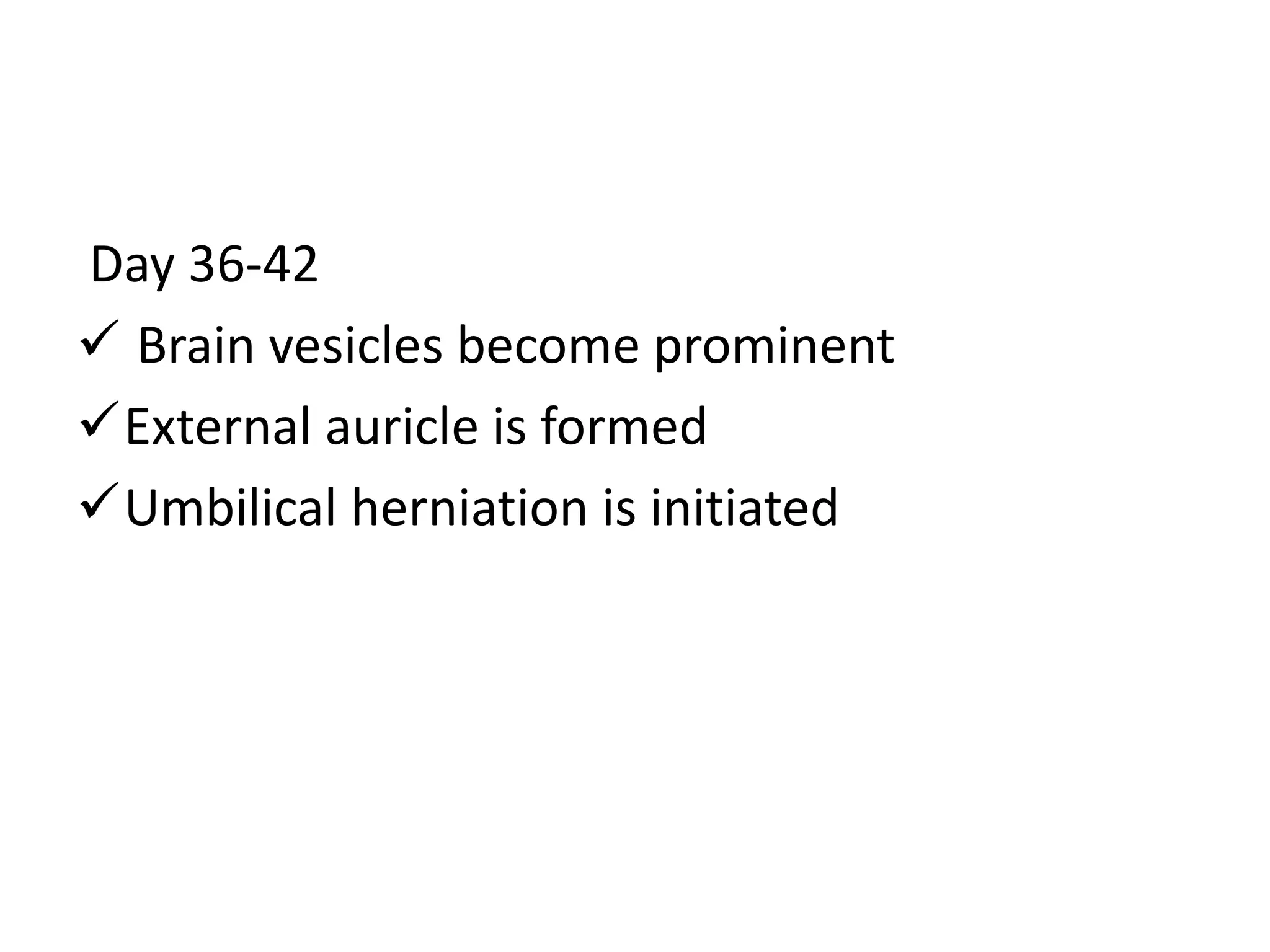 Day 36-42
 Brain vesicles become prominent
External auricle is formed
Umbilical herniation is initiated
 