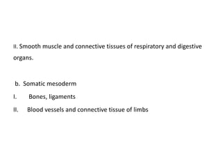 II. Smooth muscle and connective tissues of respiratory and digestive
organs.
b. Somatic mesoderm
I. Bones, ligaments
II. Blood vessels and connective tissue of limbs
 